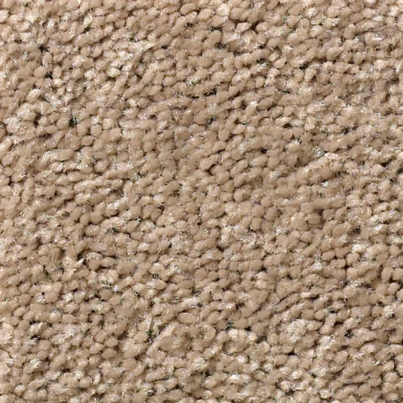 Cut Carpet | Select Floors