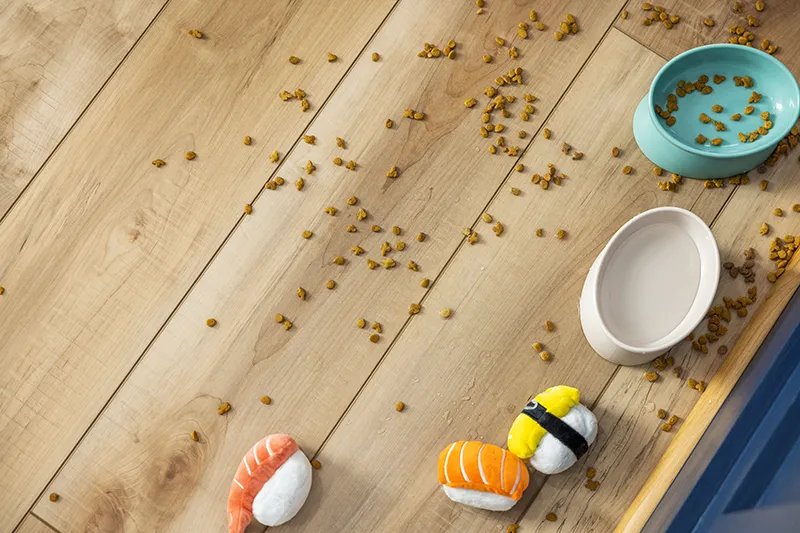 Vinyl-Pet-Area Pet eating area with spilled kibble on vinyl flooring